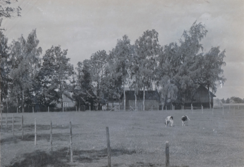 Unter-Eisseln, Trakas, Hof von Heinrich und Maria Ribbat im August 1943