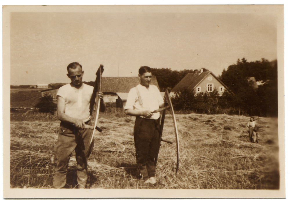 Neuhain, Bei der Ernte des Siedlers Johann Skrotzki