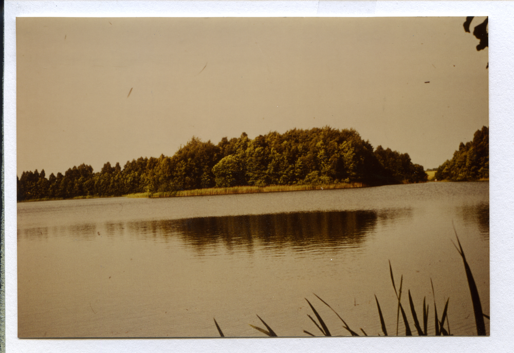 Osterschau (Januszkowo), Osterschauer See mit Insel