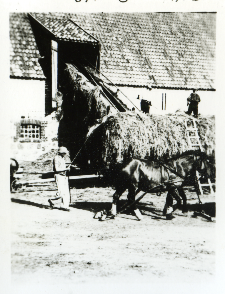 Pötzdorf, Gut, Einfahren des Heus, Höhenförderer