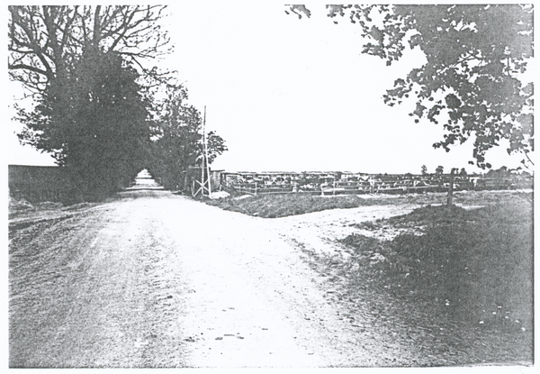 Brassen (Брюсово), Straße vom ehem. Gasthaus Grenz in Richtung Angerapp