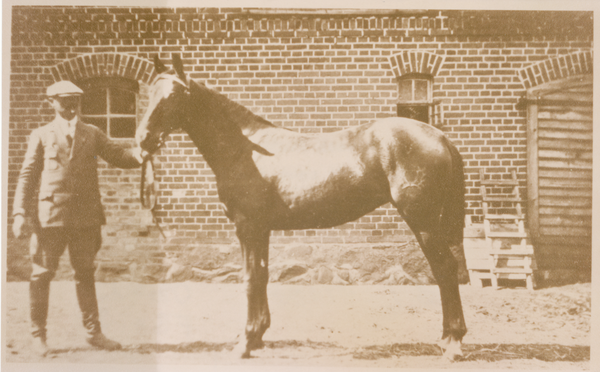 Brettken, Bauer Adolf Kröhn auf dem Hof mit Pferd