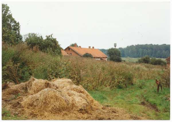 Friedeck (Южное), Altes Gehöft aus deutscher Zeit