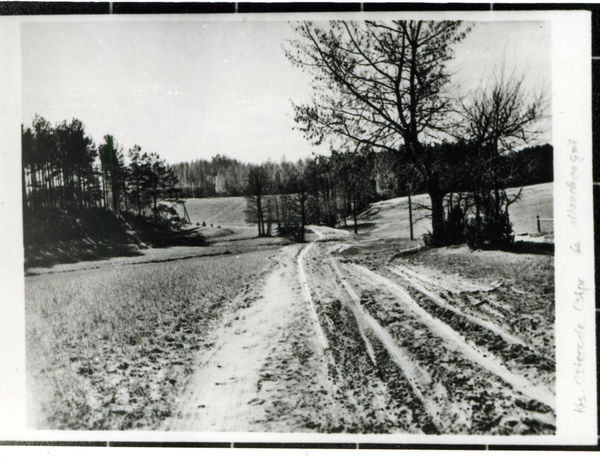 Manchengut, Feldweg (Winteraufnahme)