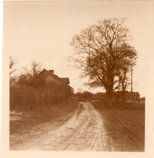 Meitzen (Mycyny), Dorfstraße mit Anwesen von Hermann Steinert