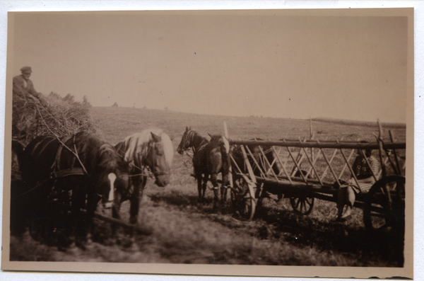 Mispelsee, Leiterwagen bei der Ernte des Hofes Niewiera