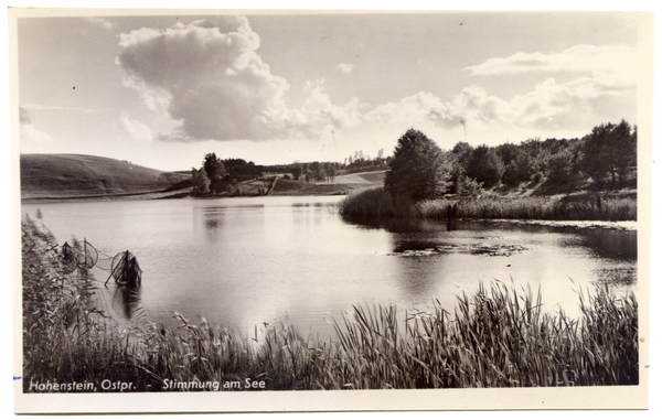 Mispelsee, Blick über den See