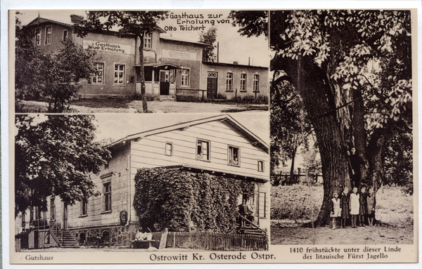 Ostrowitt, Gasthaus Otto Teichert, Gutshaus, 600-Jährige Linde