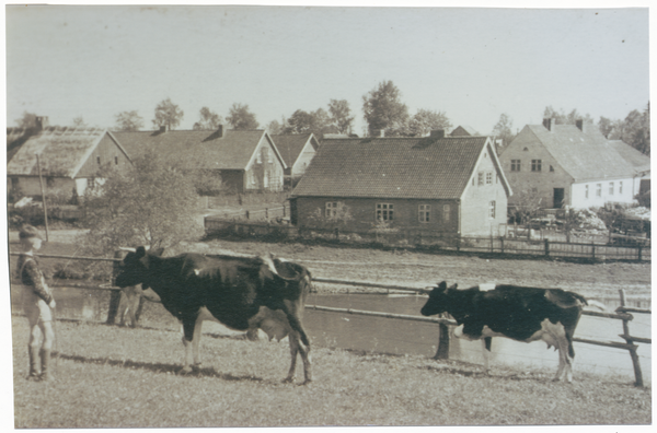 Wehrwalde, Wiese vor dem Dorfteich mit Blick auf den Ort