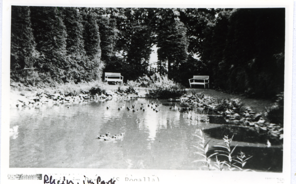 Rhein Kr. Osterode, Im Gutspark