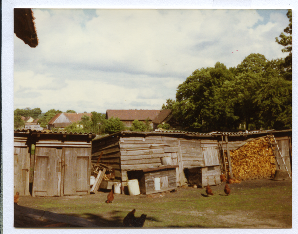 Schildeck (Szyldak), Hühnerhof eines Gehöfts