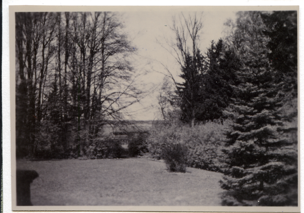 Klein Schmückwalde, Blick in den Gutspark