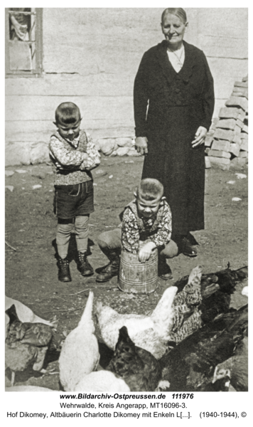 Wehrwalde, Hof Dikomey, Altbäuerin Charlotte Dikomey mit Enkeln Lothar und Karl