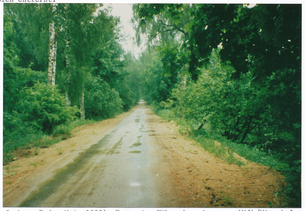 Wehrwalde (Фокино), Straße in Höhe der ehem. Grundstücke Wilk / Metschulat