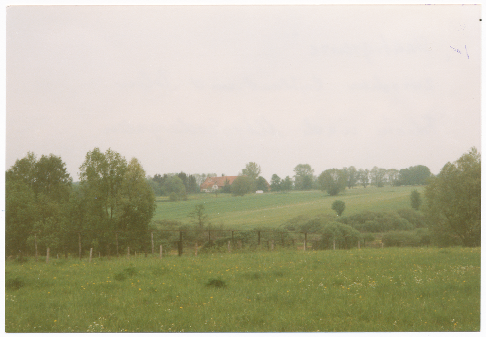 Wehrwalde (Фокино), Blick nach Sandenwalde