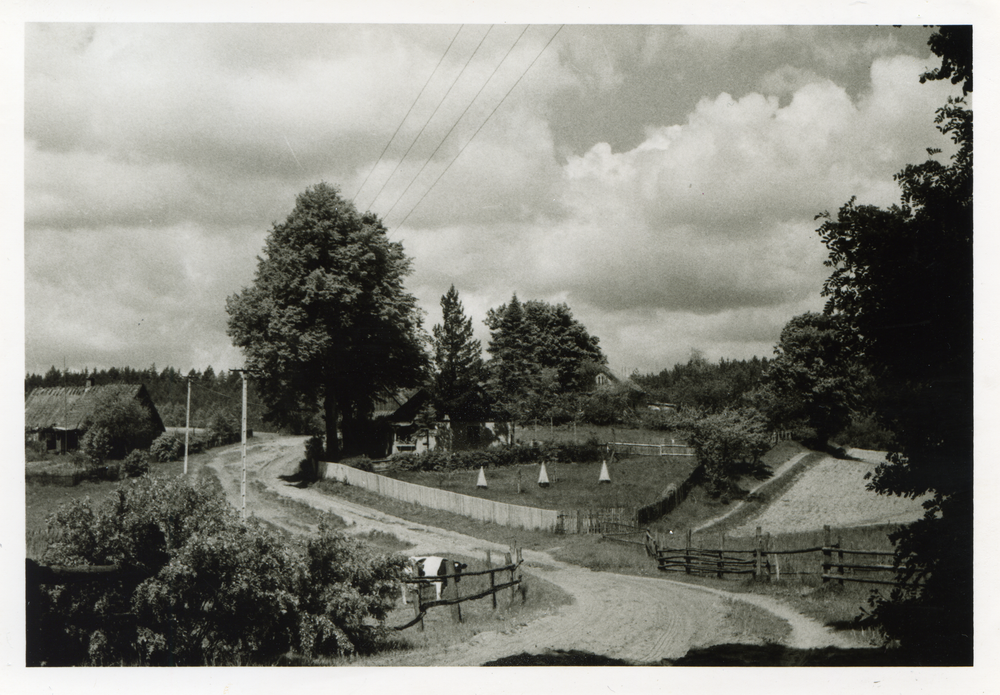 Seebude, Straße im Ort