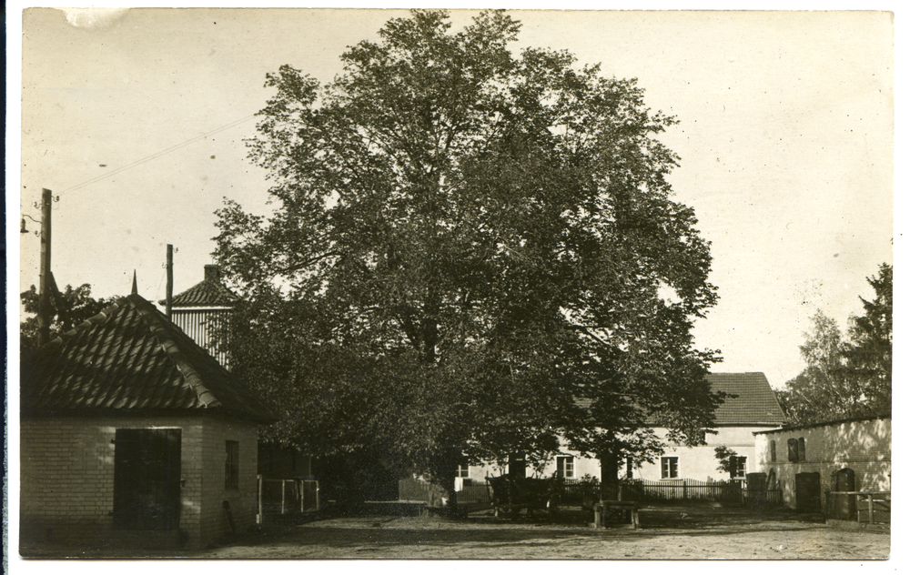 Seemen, Alte Rüster