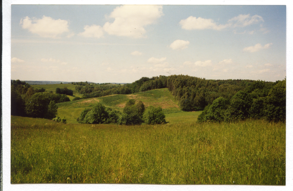 Steffenswalde (Szczepankowo), Hüglige Landschaft, Fasanenschonung an der Grenze zu Bednarken