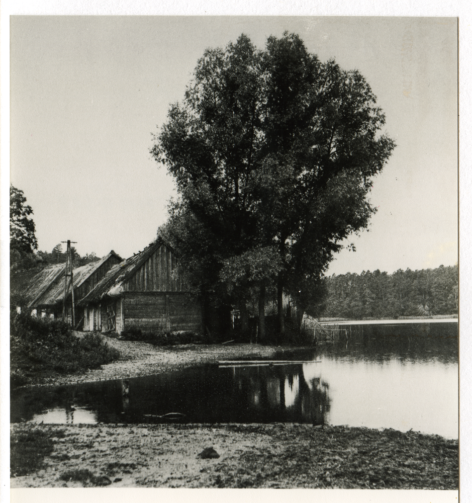 Taberbrück, Hölzerne Blockhäuser (Bohlen-Bauweise)