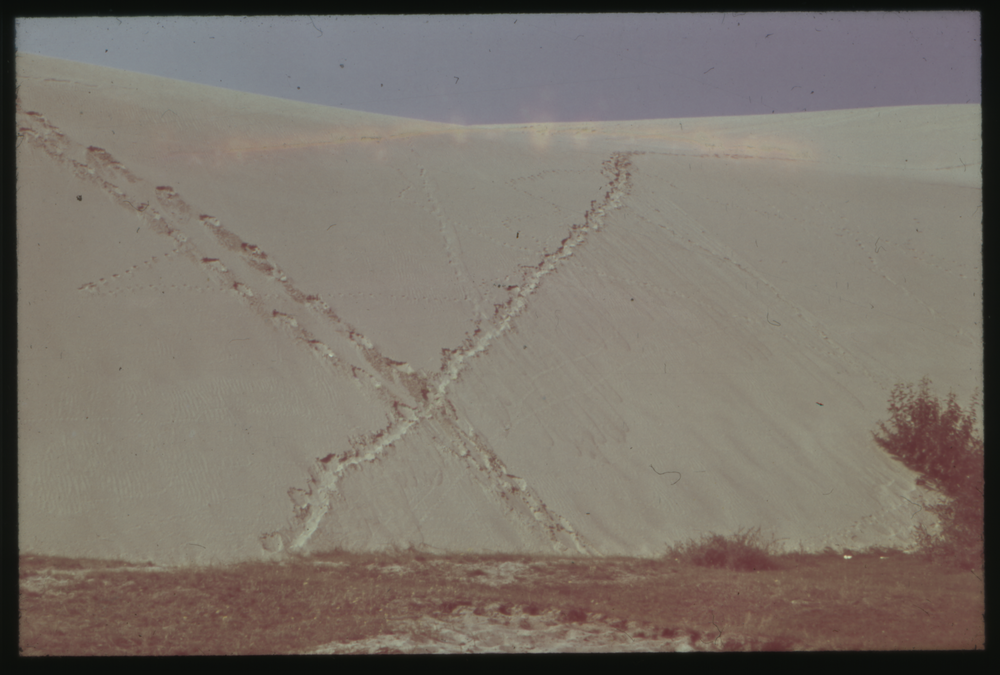 Kurische Nehrung, Spuren an der Wand der Hohen Düne