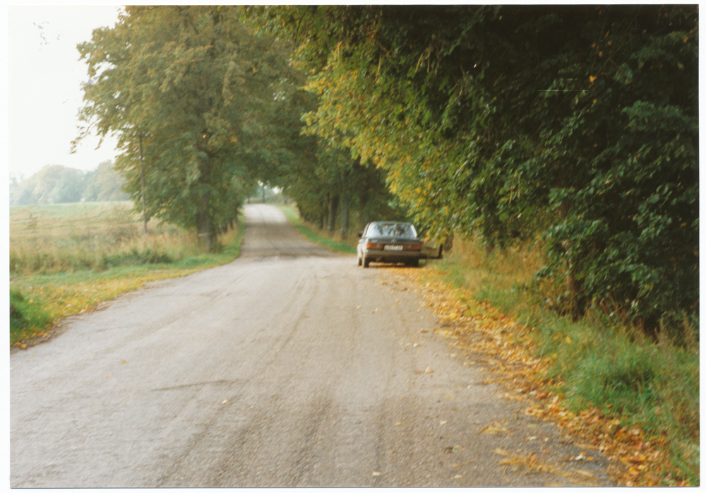 Rüttelsdorf (Мошенское ), Straße in der Gemarkung Neu Pillkallen