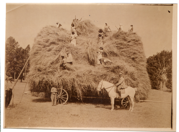 Ziegenberg, Gut, Bau eines Getreidestakens auf dem Feld