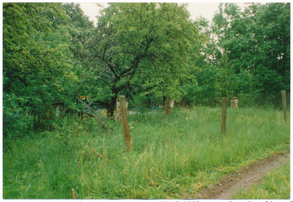 Wehrwalde (Фокино), Ehem. Obstgarten der Familie Wilk