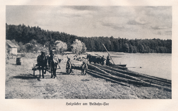 Beldahnsee, Holzrücker am See