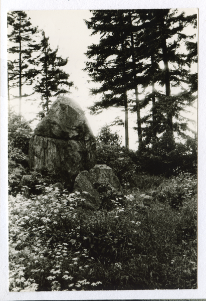 Tannenberg Kr. Osterode (Stębark), Ehem. dt. Gedenksteins des Hochmeisters Ulrich von Jungingen (Hochmeisterstein)