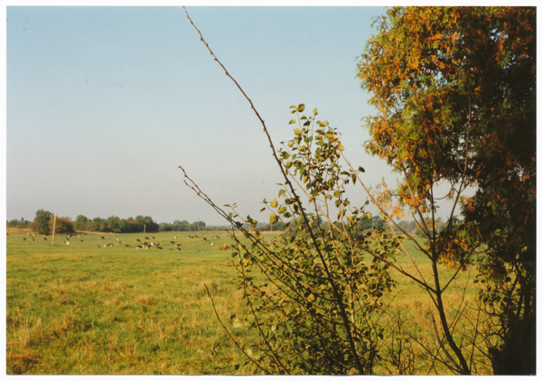 Groß Skirlack (Опоченское), Blick vom Schulberg in Richtung Mickelau
