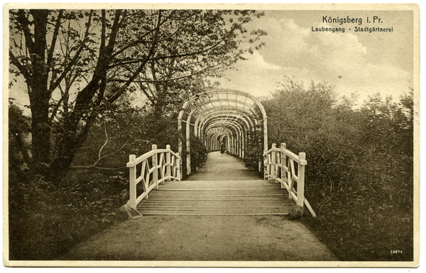 Königsberg (Pr.), Stadtgärtnerei, Laubengang