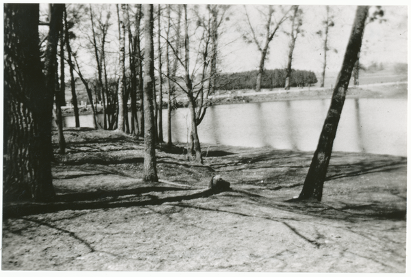 Karpauen, Dorfteich