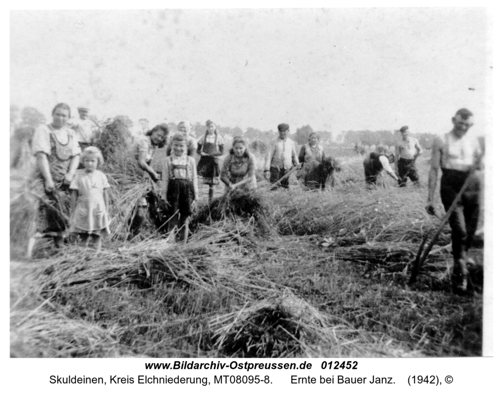 Skuldeinen, Ernte bei Bauer Janz