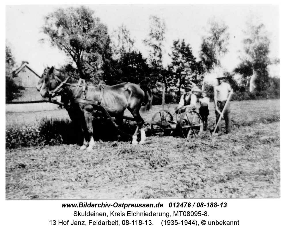 Skuldeinen, 13 Hof Janz, Feldarbeit, 08-118-13