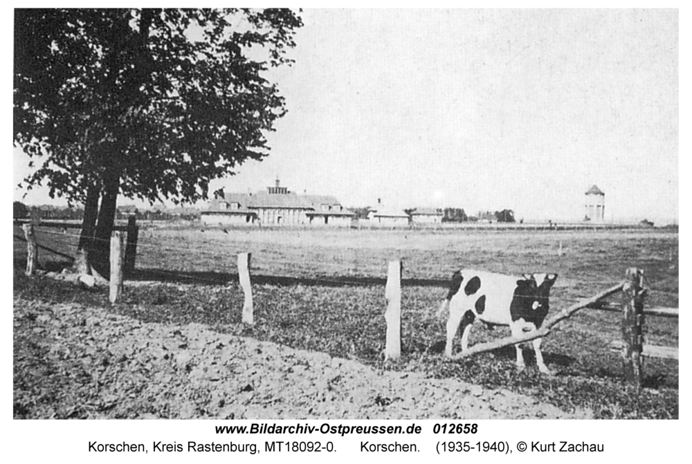 Korschen, Landwirtschaft