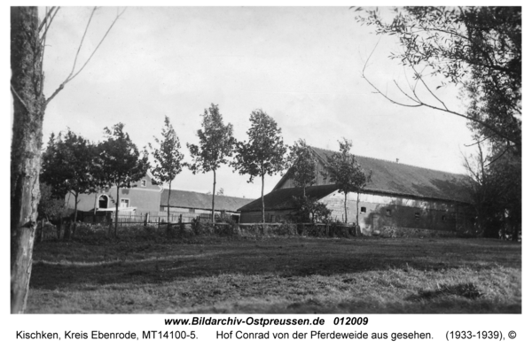 Kischken Kr. Ebenrode, Hof Conrad von der Pferdeweide aus gesehen