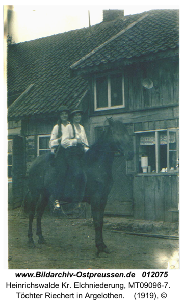 Heinrichswalde, Töchter Riechert in Argelothen