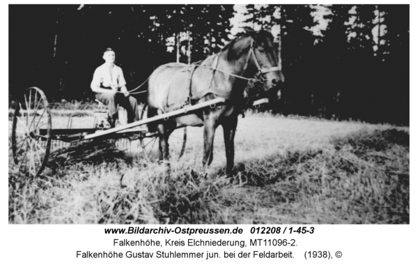 Falkenhöhe Gustav Stuhlemmer jun. bei der Feldarbeit