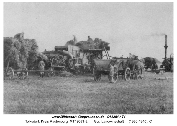 Tolksdorf, Gut, Landwirtschaft