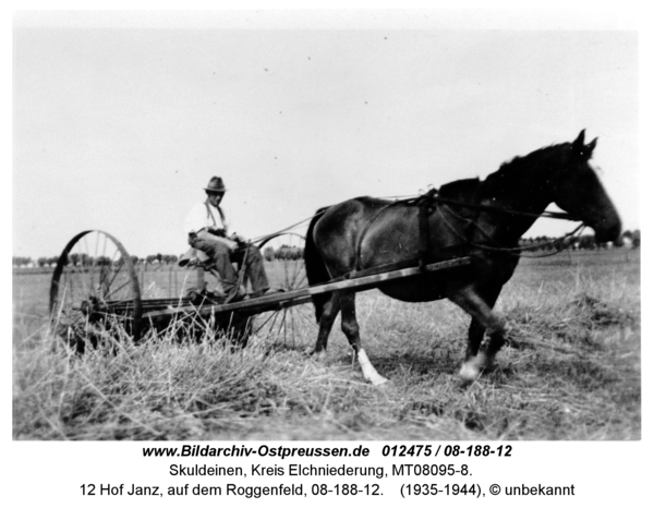 Skuldeinen, 12 Hof Janz, auf dem Roggenfeld, 08-188-12