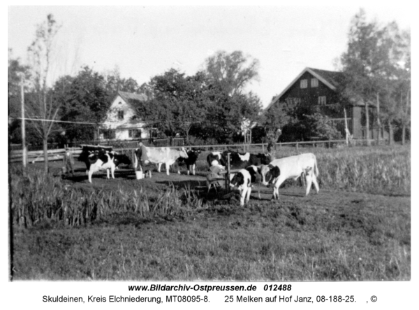 Skuldeinen, 25 Melken auf Hof Janz, 08-188-25