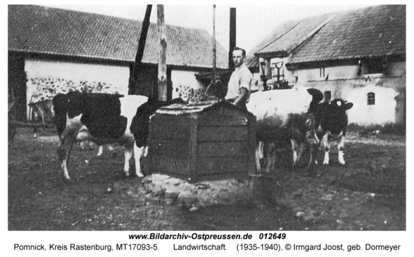 Pomnick, Landwirtschaft