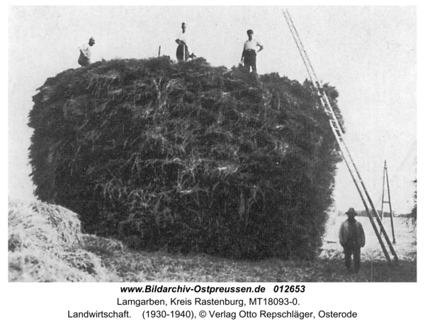 Lamgarben, Landwirtschaft