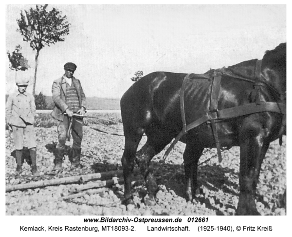 Kemlack, Landwirtschaft