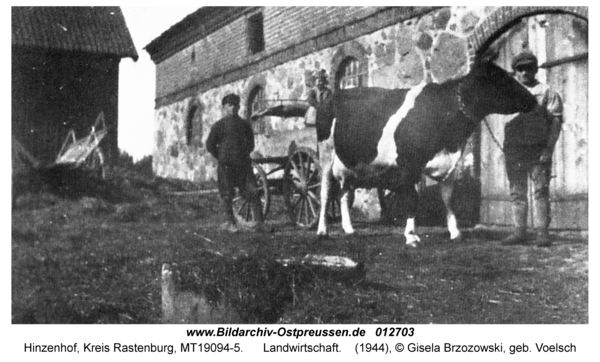 Hinzenhof, Landwirtschaft