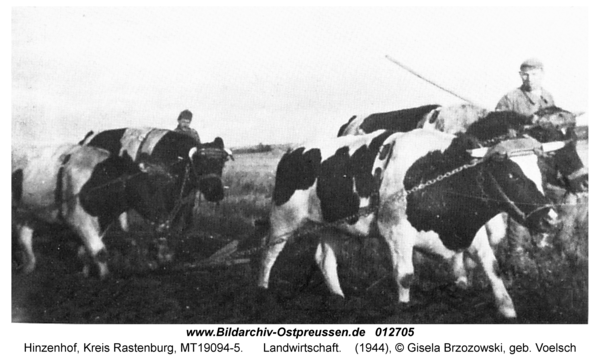 Hinzenhof, Landwirtschaft