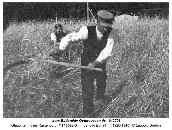 Glaubitten, Landwirtschaft