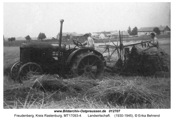 Freudenberg, Landwirtschaft