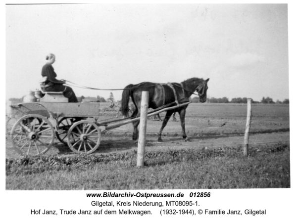 Gilgetal, Hof Janz, Trude Janz auf dem Melkwagen