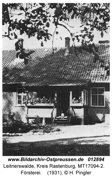 Leitnerswalde, Forsthaus